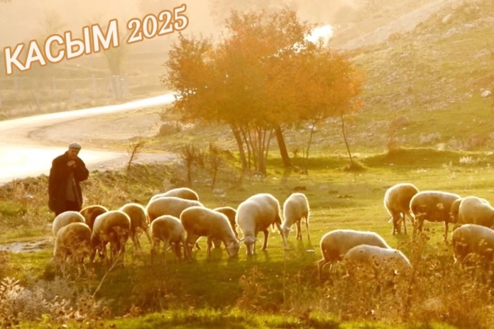 573705711_17929927710133402_8088019977265107214_n