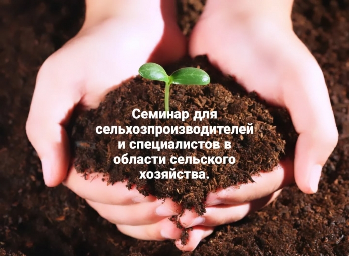 598643322_17933370339133402_3328286043976453346_n