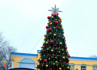 В Конгазе установлена праздничная новогодняя ёлка!