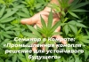 Семинар в Комрате «Промышленная конопля — реальное решение для устойчивого будущего»